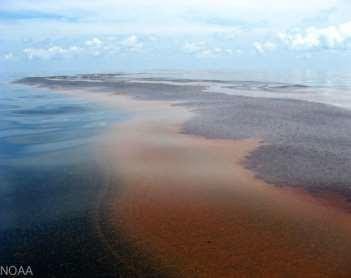 800 Mile Oil Spill Alaska 1989