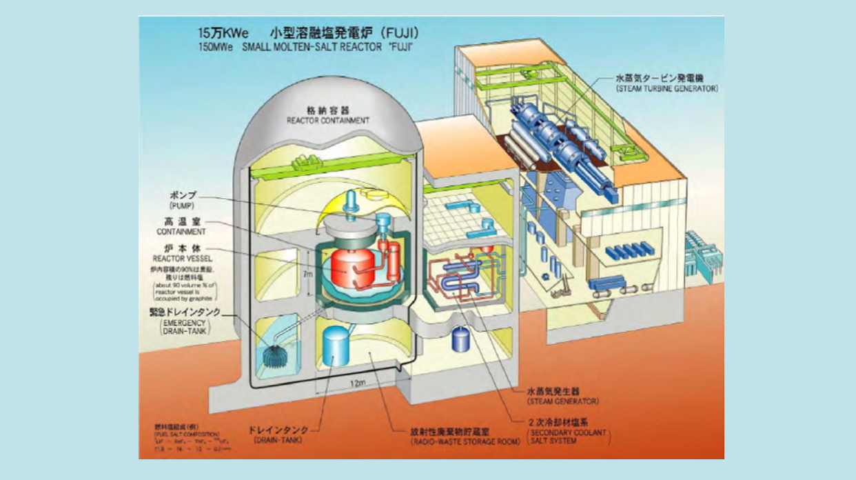 Full View of FUJI Molten Salt Reactor